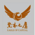 资本之鹰