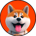 AKT-Akita Inu