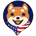 American Shiba