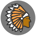 Apache Token