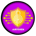 AIM-Automated Income Machine
