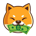 BABYDOGECASH-Baby Doge Cash