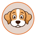 BEA-Beagle Inu