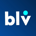 BLV-Bellevue Network