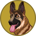BERGERDOGE-BergerDoge