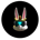 BKM-Bunny King Metaverse