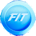 FIT-CALO