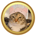 CATHAT-Catwifhat