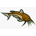 CFISH-Cat Fish