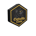 Catvills Coin