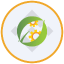 CEA Industries Tokenized bStocks
