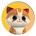 CHITCAT-ChitCAT