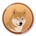 COGE-Cogecoin