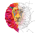 Coin Lion