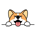 CORGI-Corgidoge