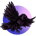 CROW-CrowFinance