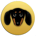 DSD-Dachshund