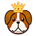 DOGEK-Doge King