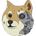 DK-Doge2K22