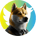 DOGECEO-DOGECEOMEME