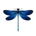 Dragon Fly