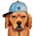 FDOG-田园犬