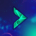 Bitfinex