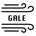 GALE-Gale Network