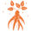 GINS-Ginseng