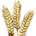 GRAIN-Grain