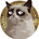 GRUM-Grumpy
