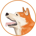 HACHI-Hachi