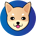HOKK-Hokkaido Inu
