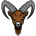 IBEX-IBEX