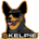 KELPIE-Kelpie Inu