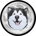 MALLY-Malamute Finance