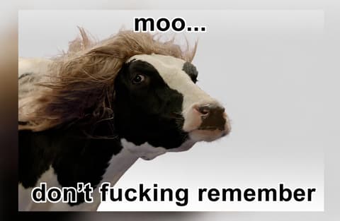 Memory cow Moo