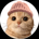 MEOWIF-Meowifhat