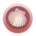 SHELL-Meta Apes Shell