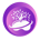 METANIA-MetaniaGames