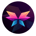 MORPHO-Morpho Network
