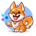 NDC-Nano Doge