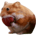 NOMNOM-nomnom
