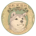 OHMI-One Hundred Million Inu