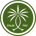 PALM-PalmPay