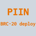PIIN-PIIN