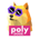 POLYDOGE/USDT