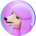 PFI-PoodleFi