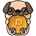 PUG-Pug Cash