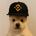 PUP/USDT